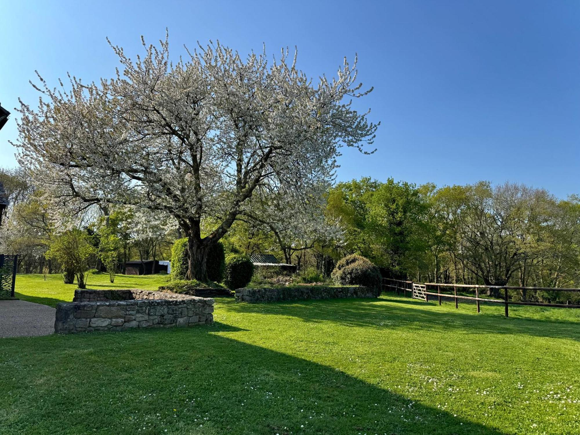 Le Domaine Du Ganquis Hotel Belz Buitenkant foto